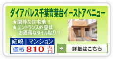 ダイアパレス千葉青葉台イーストアベニュー810万円