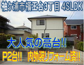 �쓹�H!!