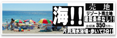 九十九里町片貝 売地