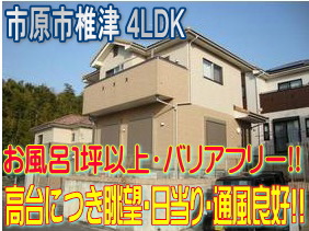 �쓹�H!!